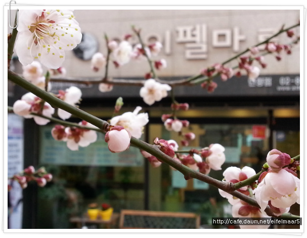 달콤한미용실 이미지