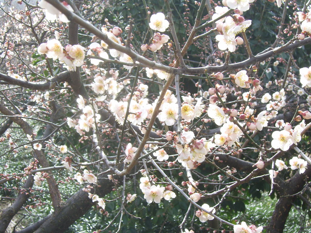 (주)비산 이미지