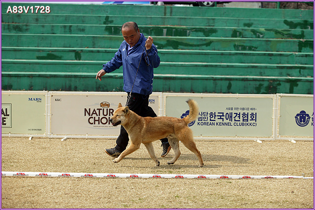 무진 이미지
