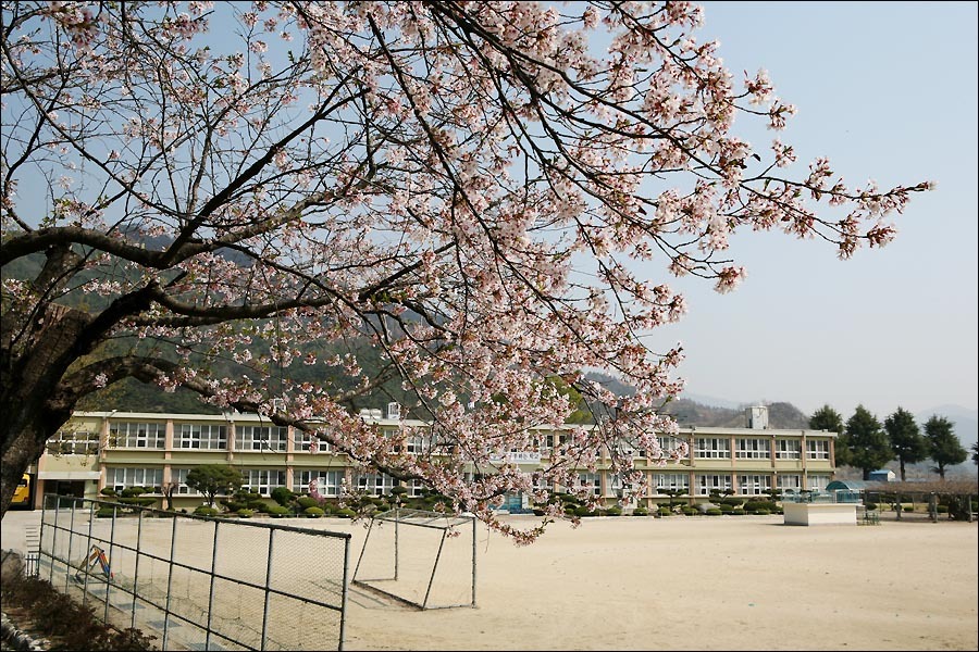 병곡초등학교 이미지