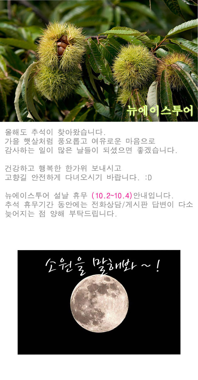 에이스투어 이미지