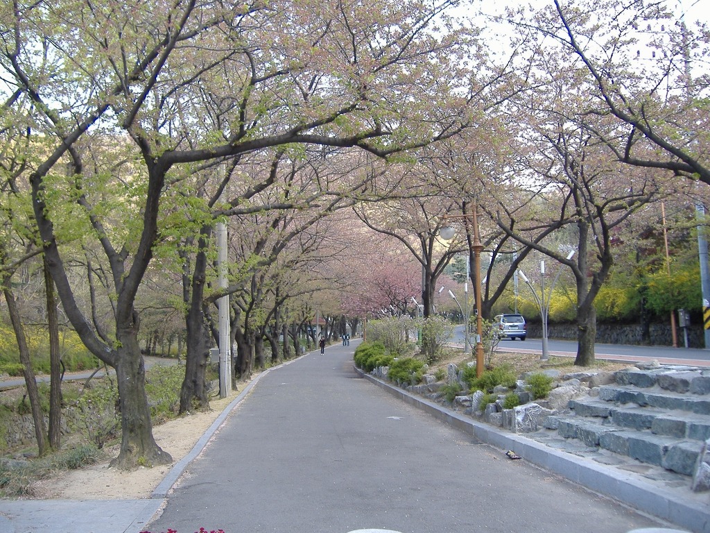 앞산으로 가는길 이미지