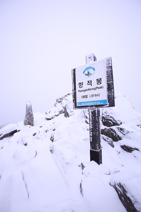 백광 이미지