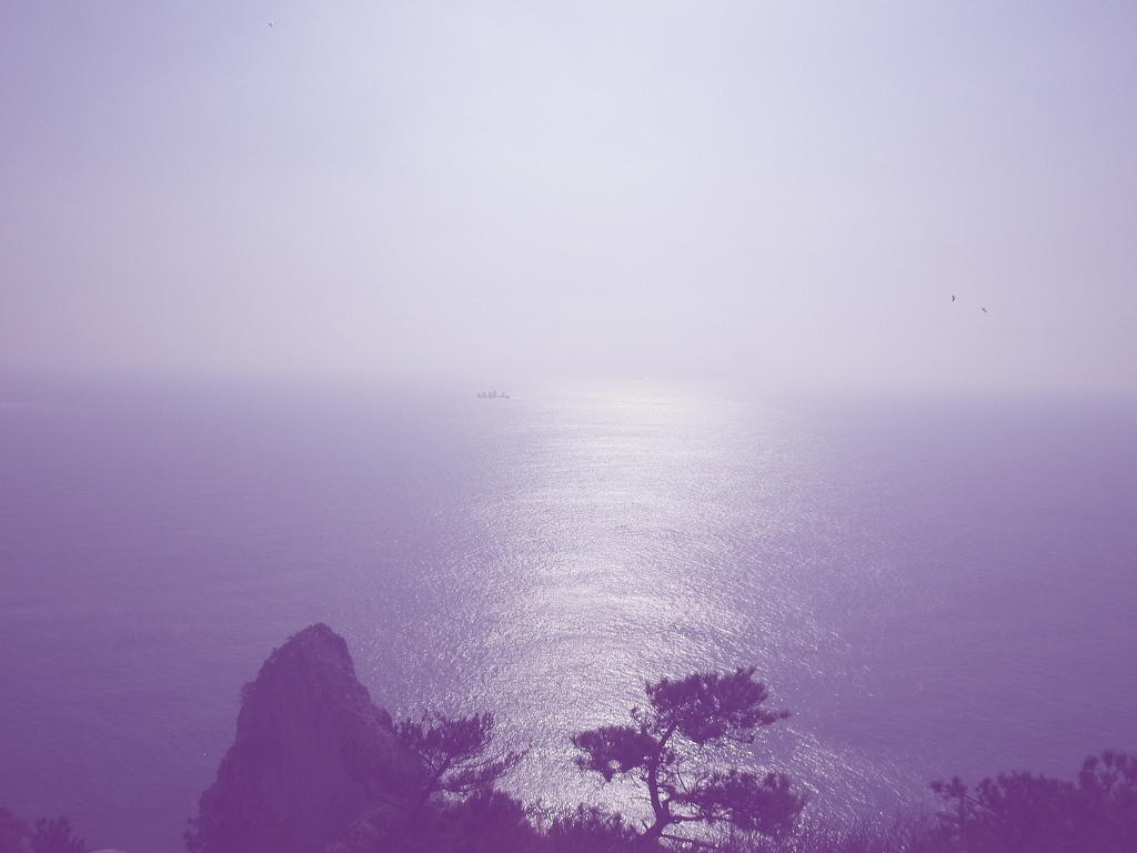음매 이미지