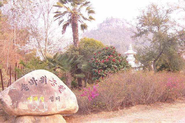 사계절농원 이미지