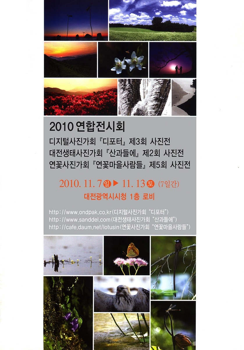 내셔널지오그래픽대전 이미지
