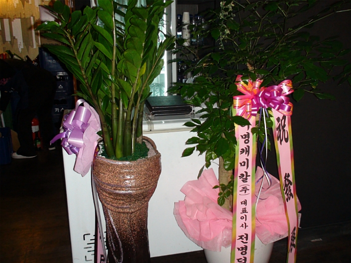 써니라이브 이미지