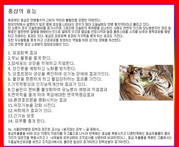 중앙인삼 이미지