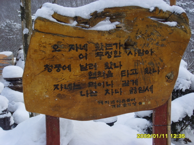 오자네왔는가 이미지