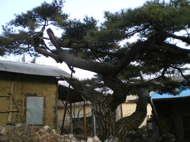 산아래농가 이미지