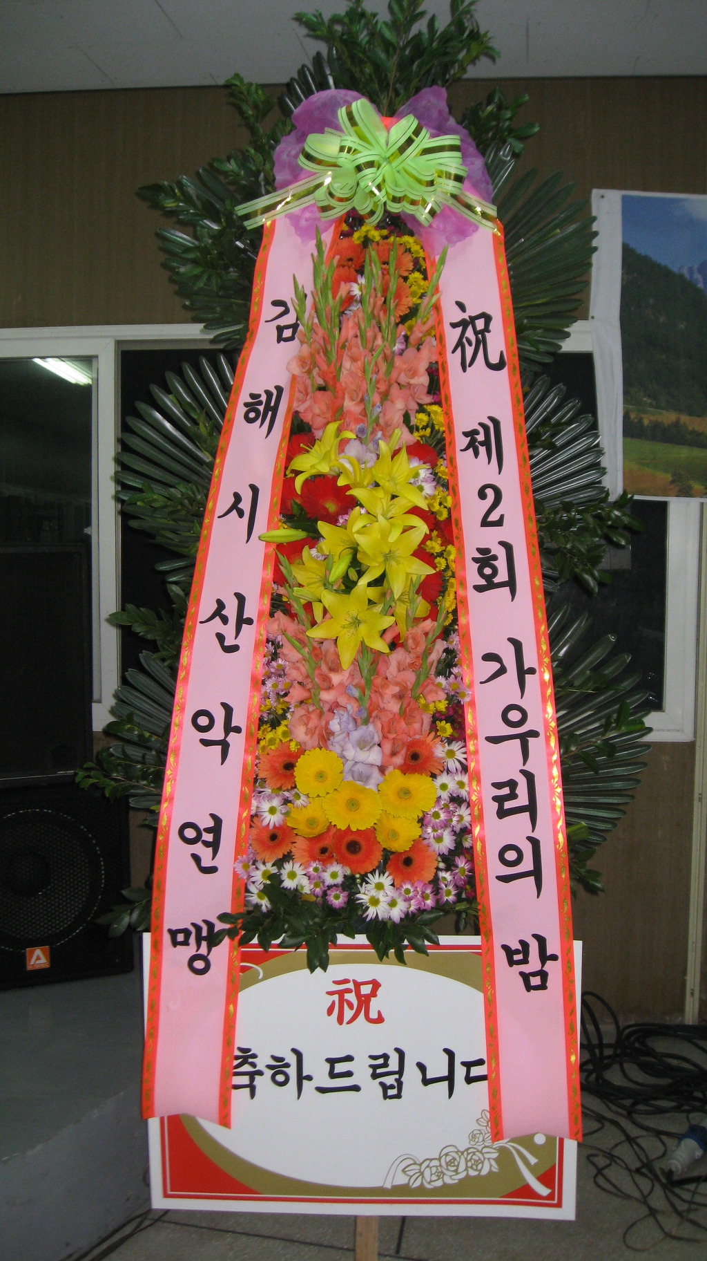 가우리 이미지