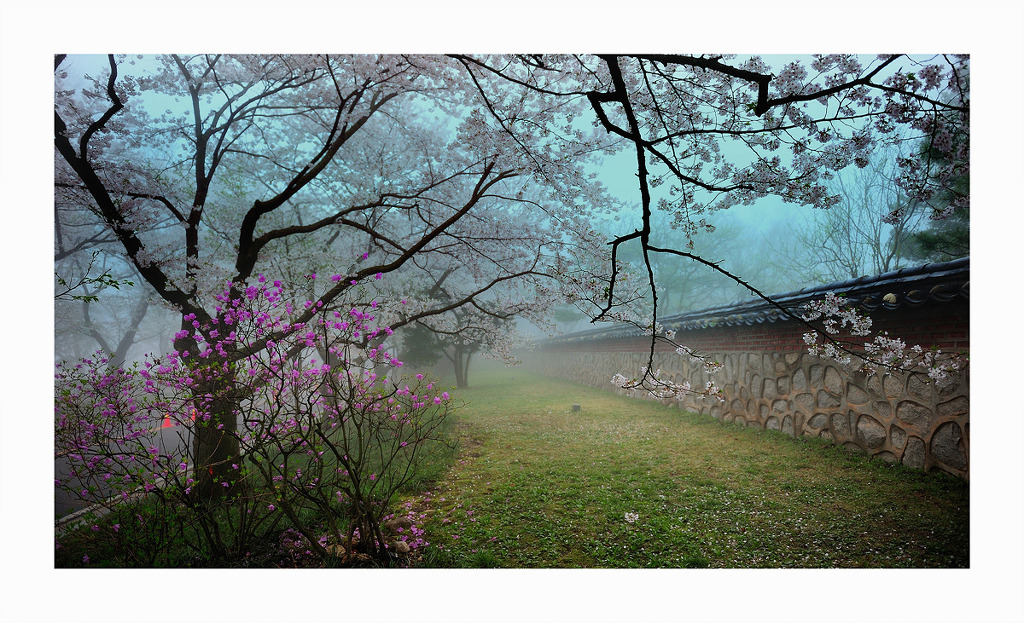 희원 이미지