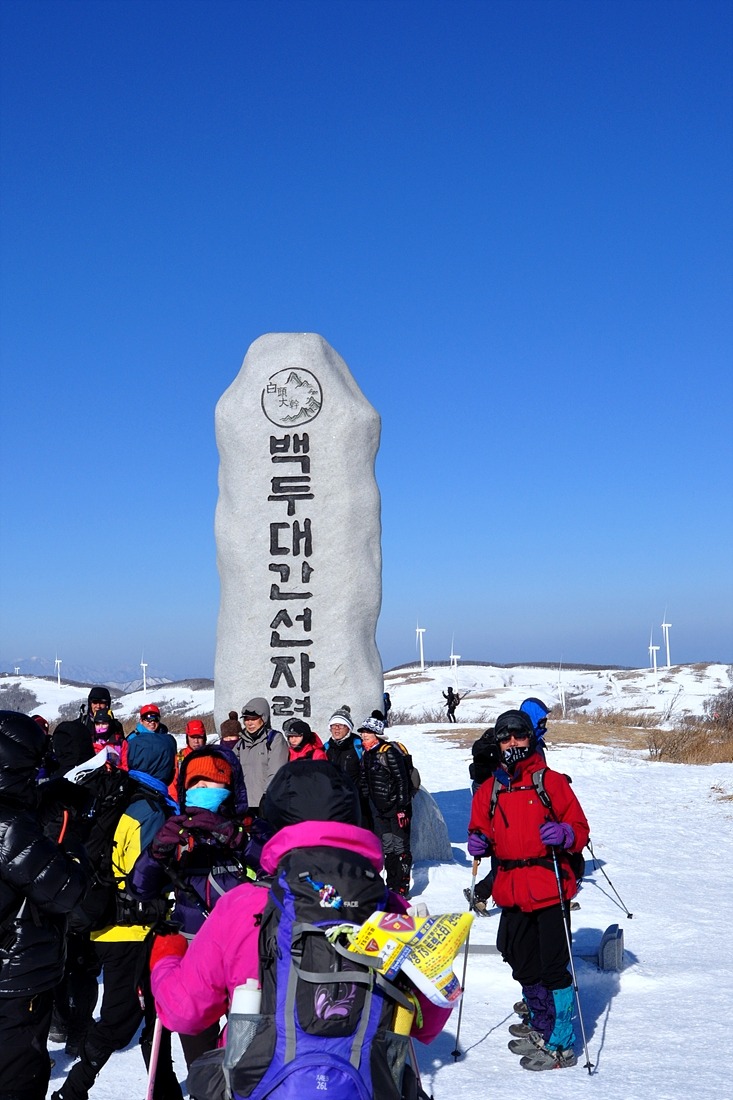 정상 이미지
