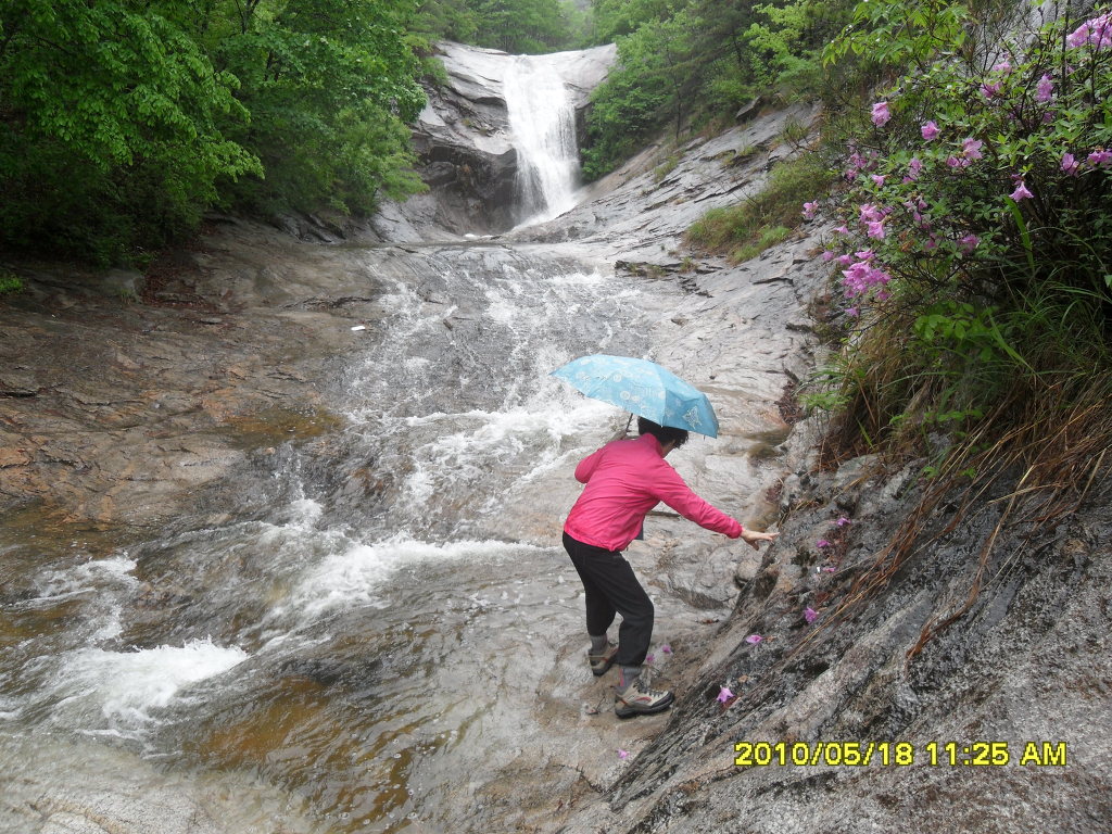 충남신발 이미지