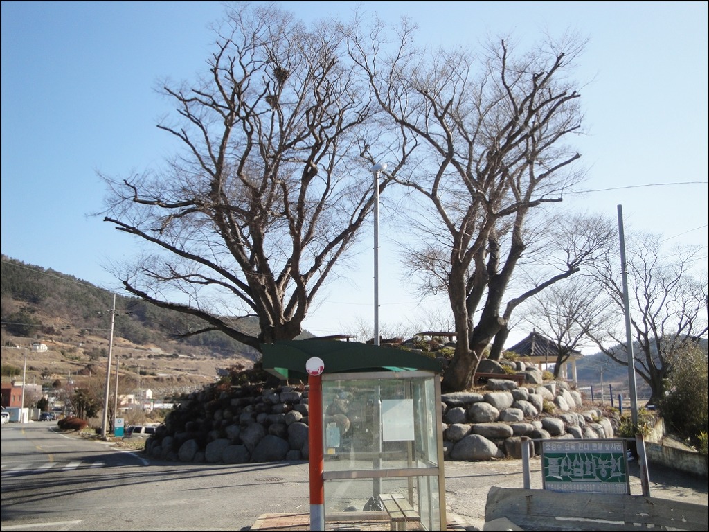 여수M 이미지