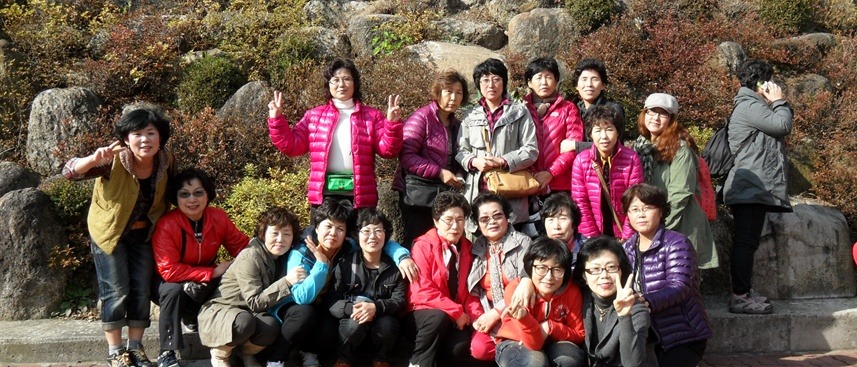 돌고래사과 이미지