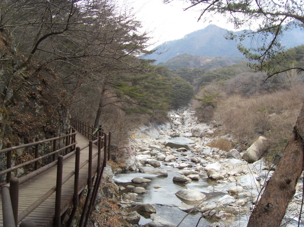 지금가야산 이미지
