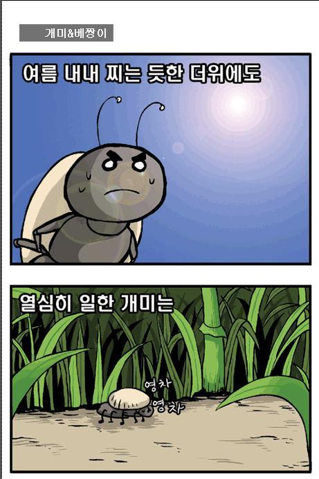 개미와배짱이 이미지