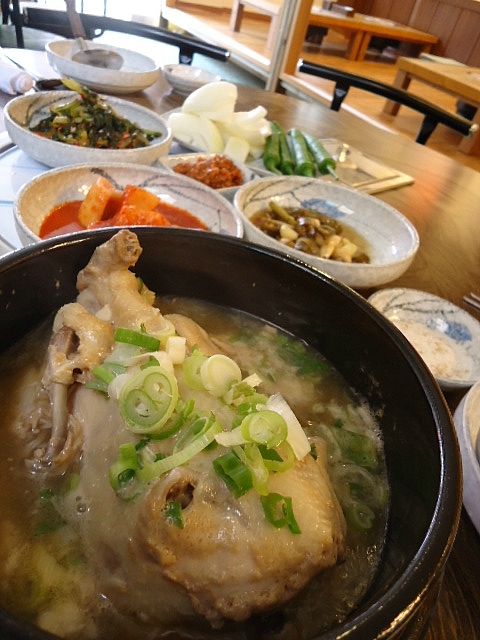 산호갈비 이미지