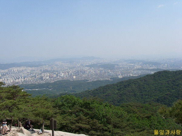 사랑가득핀 이미지