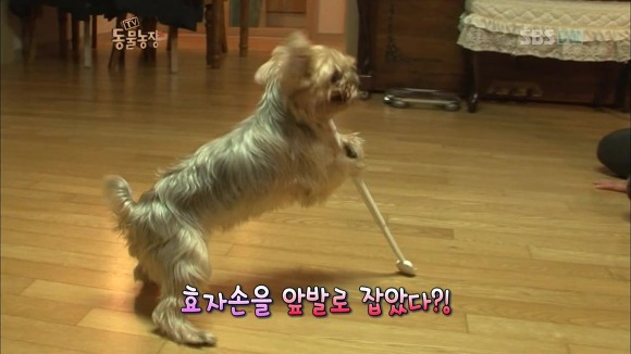 또또 이미지