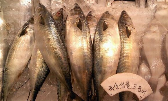 선영상회 이미지