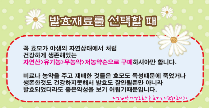 (주)슈가트리 이미지