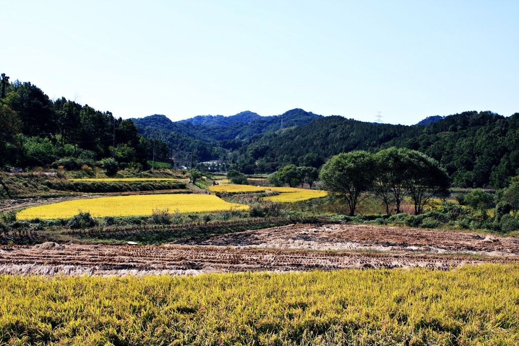 찬샘 이미지