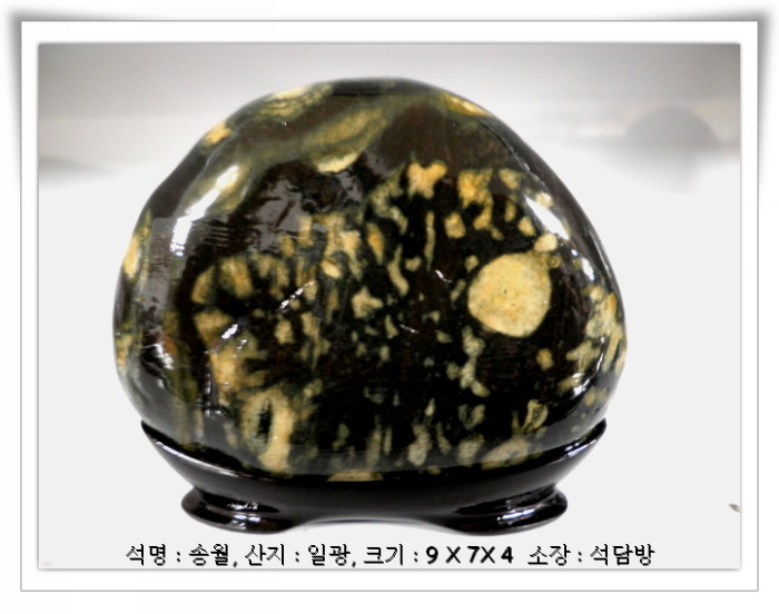 송월 이미지
