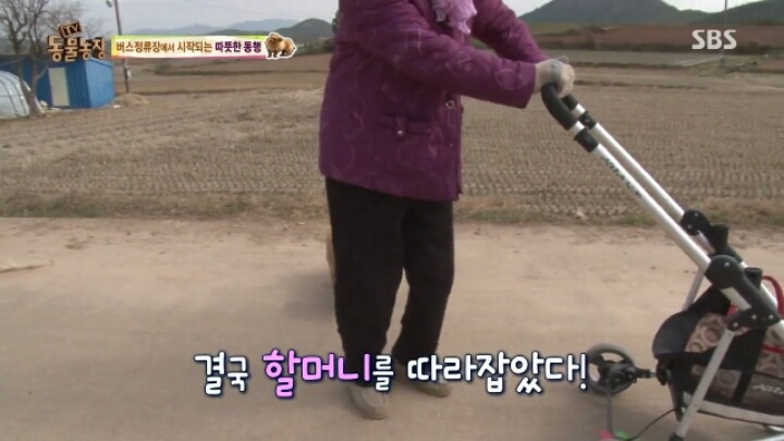[동물농장] 할머니와 발바리의 따뜻한 우정 | 인스티즈
