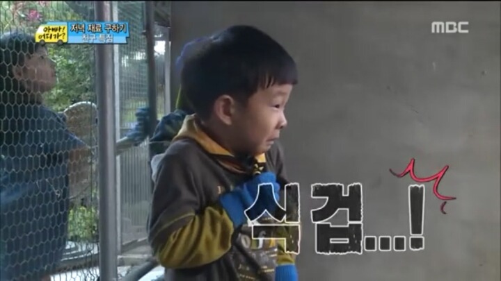 한때 짤방계의 대주주였던 아빠어디가 (사진많음주의) | 인스티즈