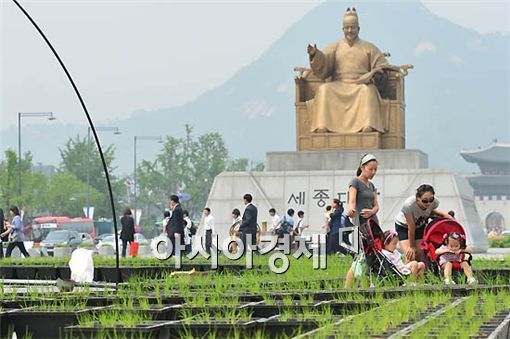 발꼬랑내 이미지