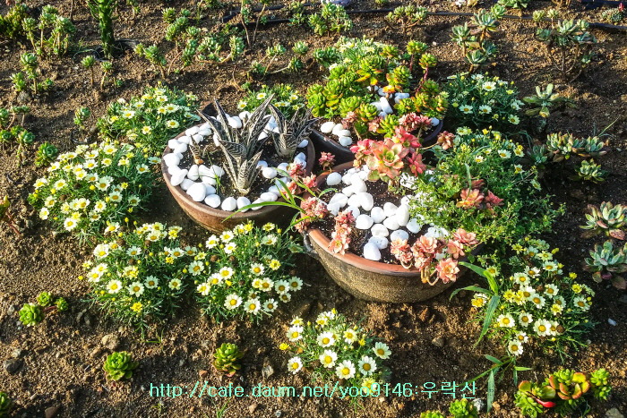 죽림산 정상 이미지