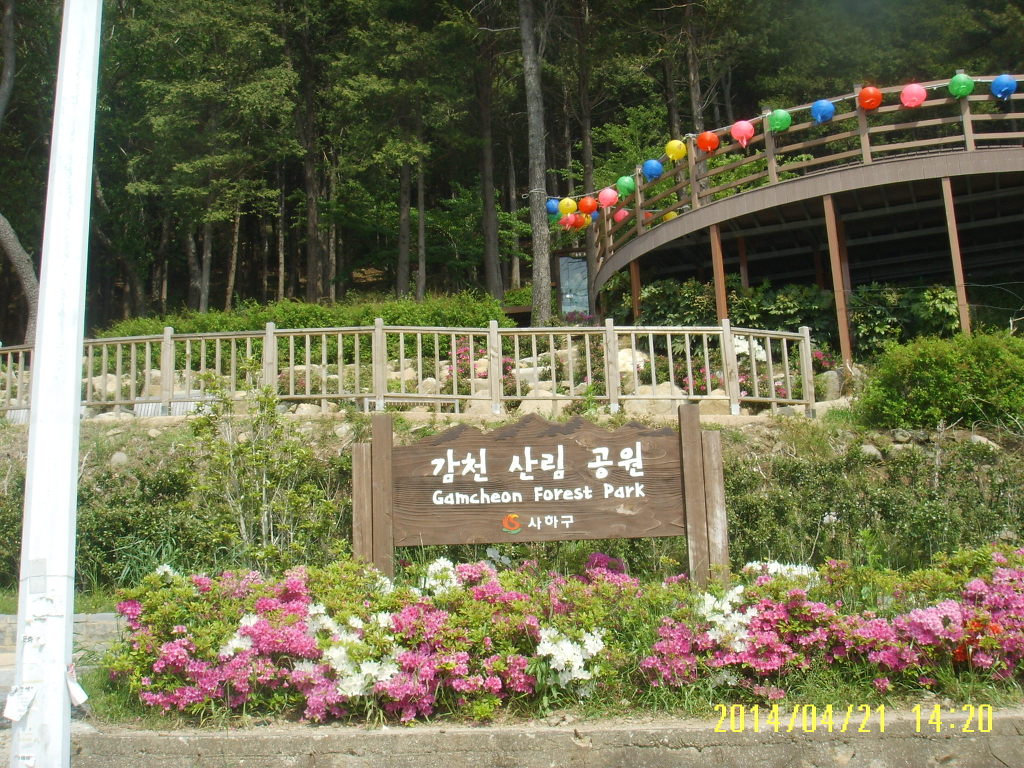 아미초등학교 이미지