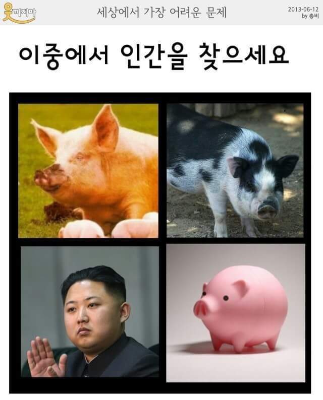 이중에서 인간을 찾으시오 | 인스티즈