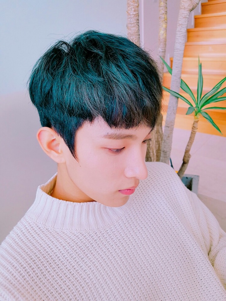 해피캐럿 이미지