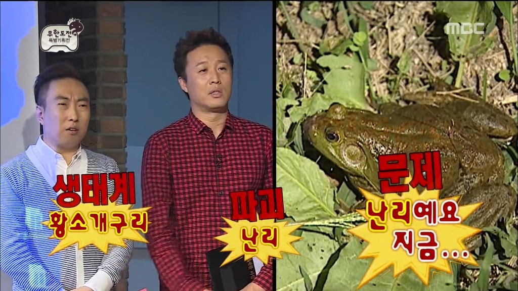 보고싶은 무한도전 특집.jpg | 인스티즈