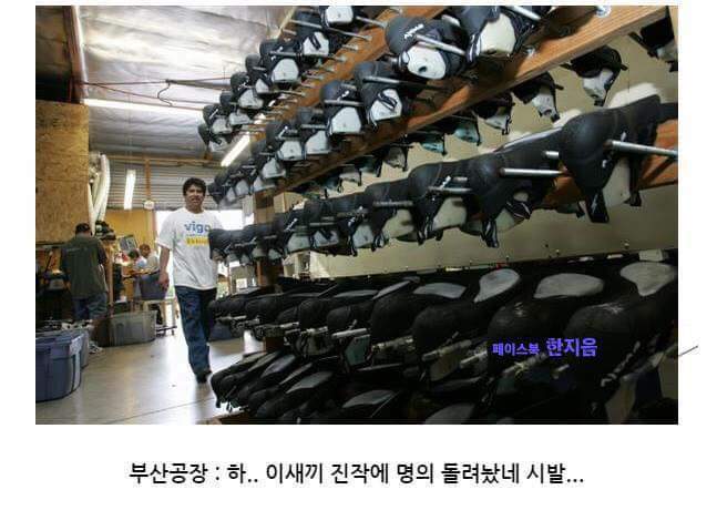 스베누 사태 간단 요약 | 인스티즈