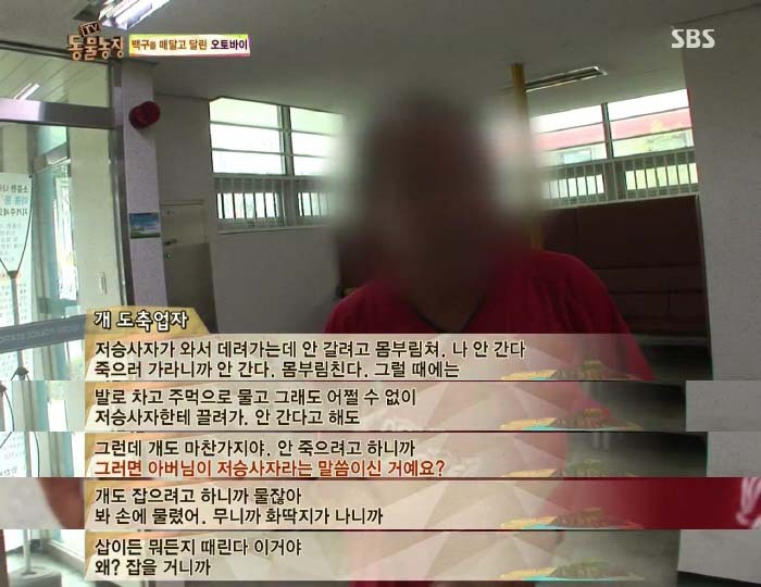 [TV동물농장] 동물농장에서 방송된 인천의 한 개 도축장의 현실.jpg | 인스티즈