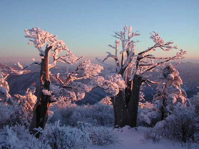 일두산방 이미지