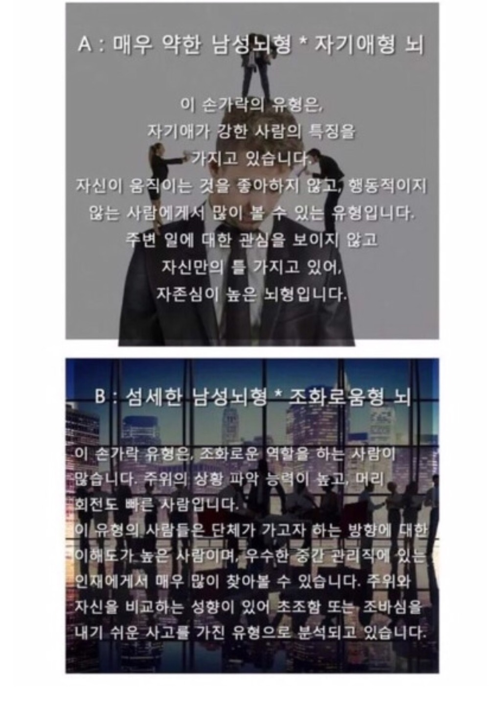 세계에서 가장 정확한 뇌 성격 테스트 | 인스티즈