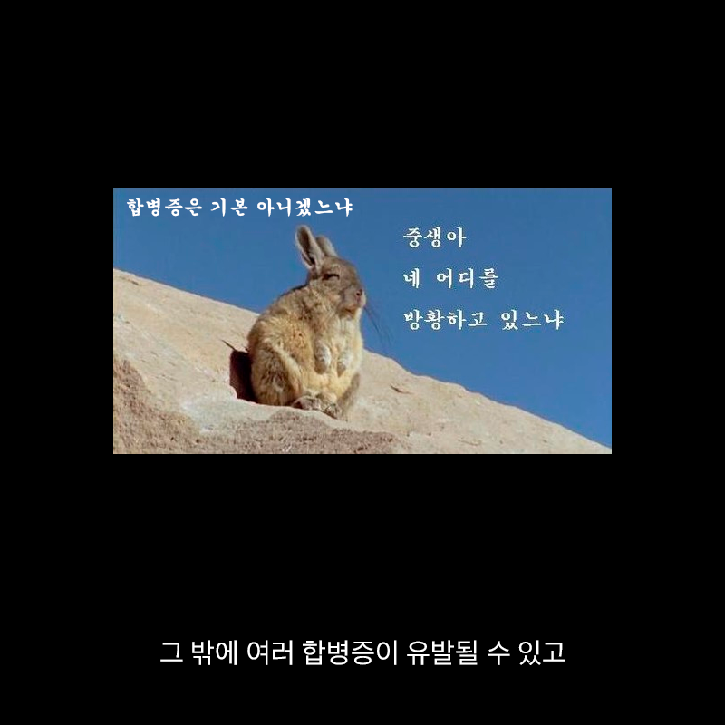 항생제의 역습 | 인스티즈