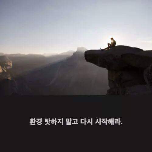 내가 하려는 거에 1년만 미쳐보자 | 인스티즈