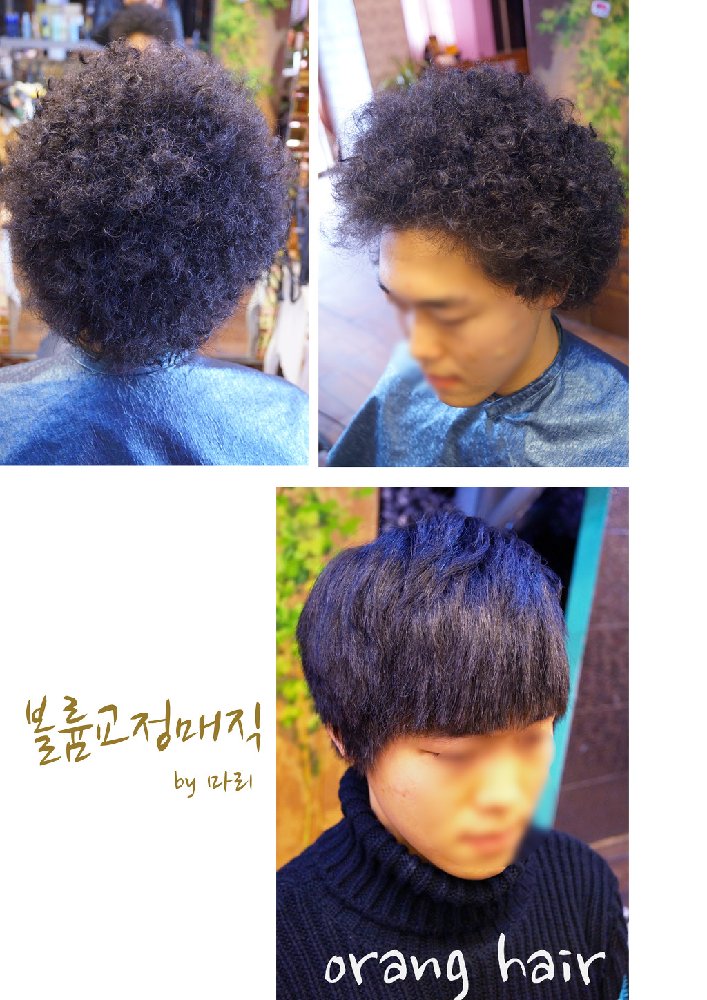 댄디&마리이벤트 이미지
