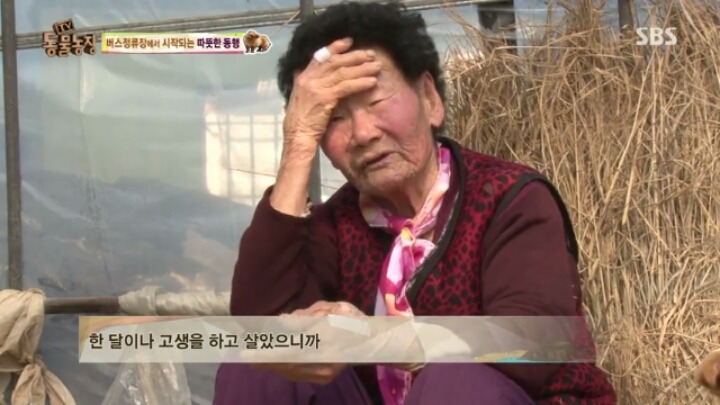 [동물농장] 할머니와 발바리의 따뜻한 우정 | 인스티즈
