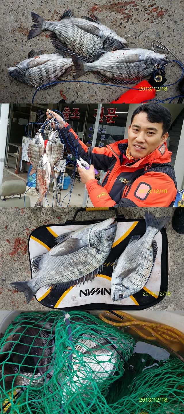 순천대물낚시 이미지