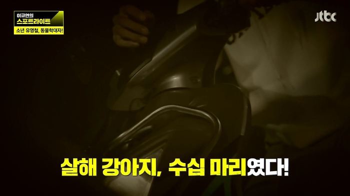 개 50여마리를 담뱃불로 지지고 던지고 매질해 살해한 남고생 7명.jpg | 인스티즈