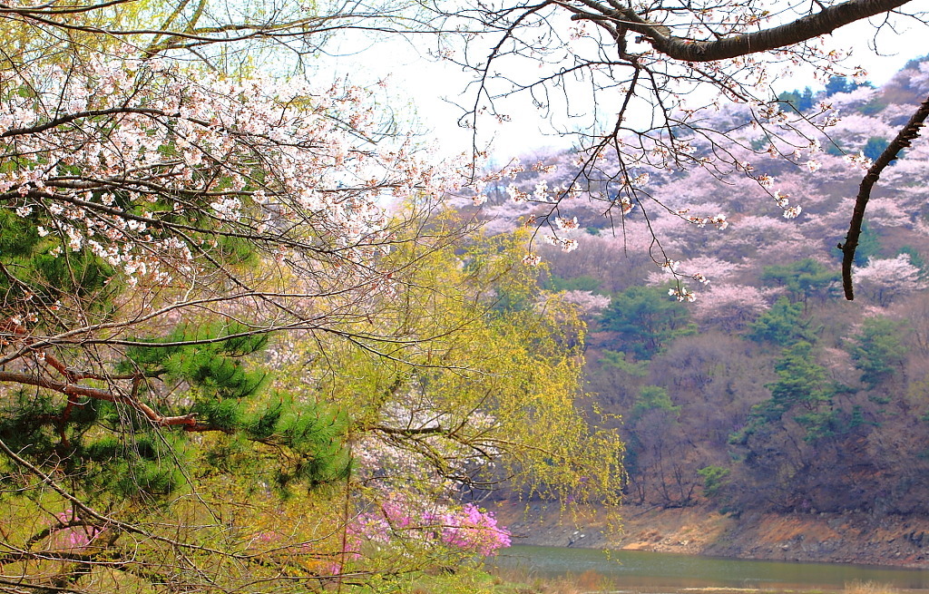 희원 이미지