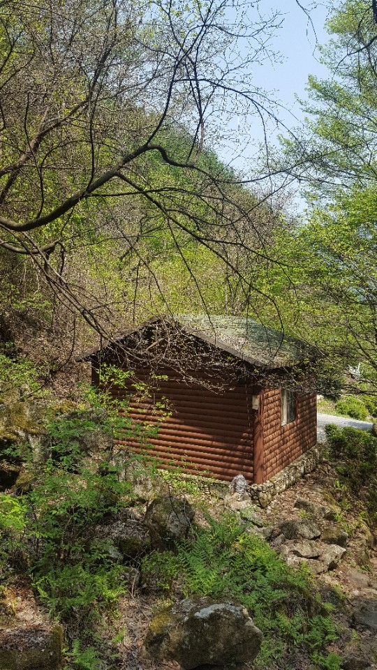 치악산자연휴양림 이미지