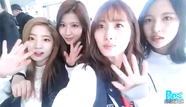 묘이 미나 스위스 | 인스티즈